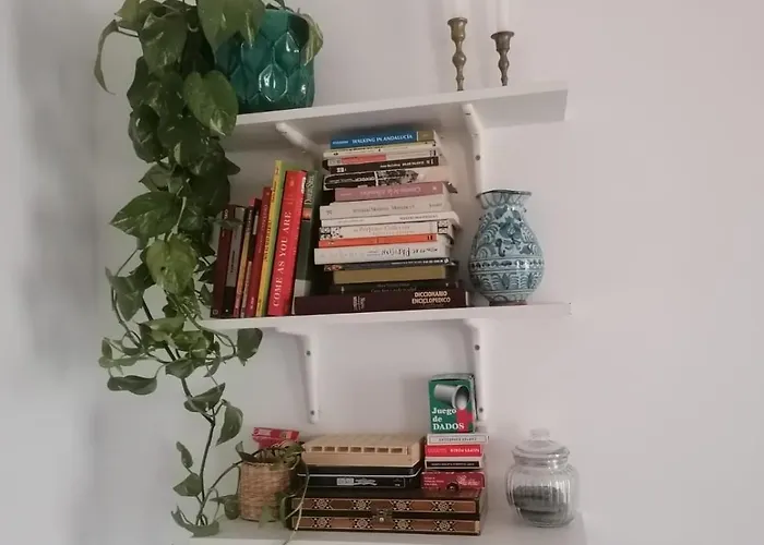 Apartamento Catedra
